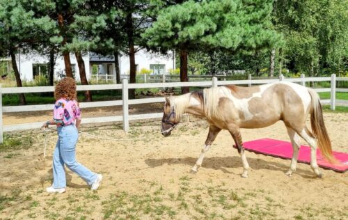 HorseSense warsztaty konie django HorseSensownia- warsztaty rozwojowo-terapeutyczne 2026