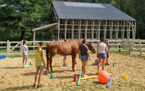 HorseSense warsztaty wakacyjne HorseSensownia- warsztaty rozwojowo-terapeutyczne 2026