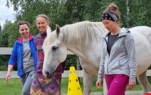 HorseSensownia ośrodek program rozwojowy i konie HorseSensownia- warsztaty rozwojowo-terapeutyczne 2026