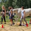 HorseSensownia ośrodek program rozwojowy z końmi HorseSensownia- warsztaty rozwojowo-terapeutyczne 2026
