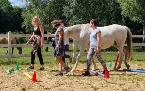 HorseSensownia ośrodek program rozwojowy z końmi HorseSensownia- warsztaty rozwojowo-terapeutyczne 2026