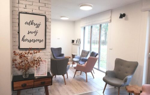Ośrodek wnętrza sala warsztatowa HorseSensownia- warsztaty rozwojowo-terapeutyczne 2026