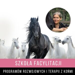 Szkoła facylitatorów Szkoła facylitatorów programów rozwojowych i terapii z końmi