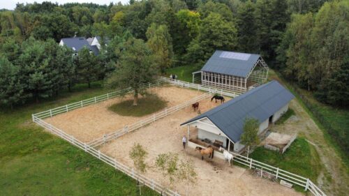 Szkoła facylitatorów programów rozwojowych i terapii z końmi