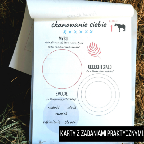 Karty pracy do kursu - Horsesense Uważność w relacjach z końmi - kurs online