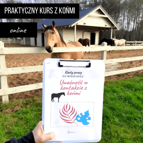 Kurs z końmi online Horsesense Uważność w relacjach z końmi - kurs online