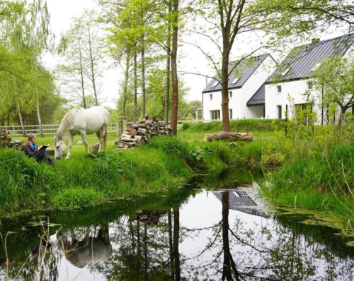 Szkoła głębokiej facylitacji
