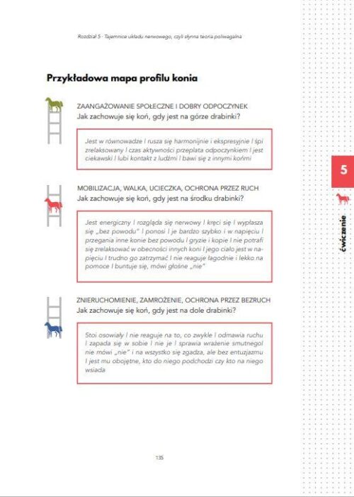 Psychologia relacji człowieka z koniem - e-book
