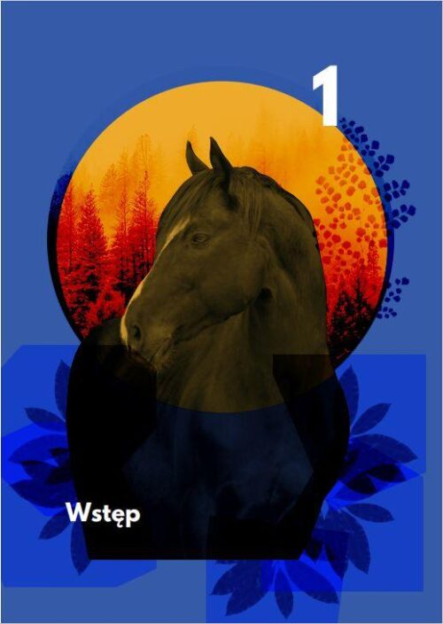 Psychologia relacji człowieka z koniem - e-book