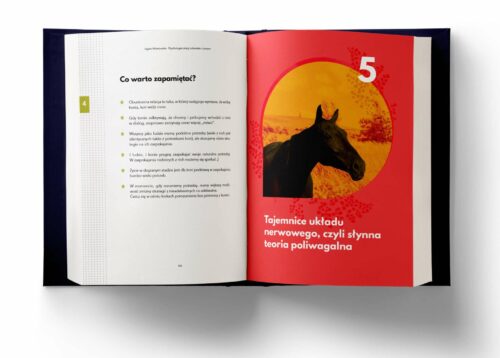 Psychologia relacji człowieka z koniem