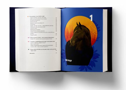 Psychologia relacji człowieka z koniem