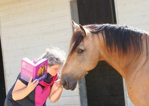 Psychologia relacji człowieka z koniem