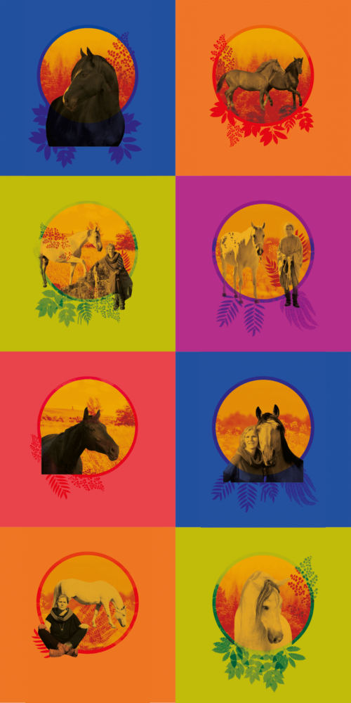 Psychologia relacji człowieka z koniem - e-book