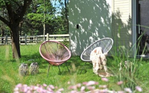 HorseSense - latem HorseSensownia- warsztaty rozwojowo-terapeutyczne 2026