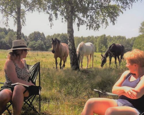 Droga kobiety - program rozwojowy