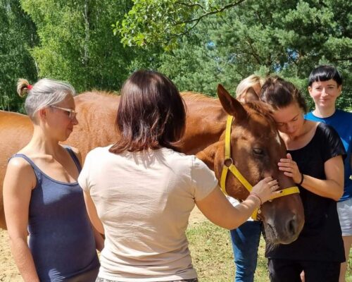 Droga kobiety - program rozwojowy