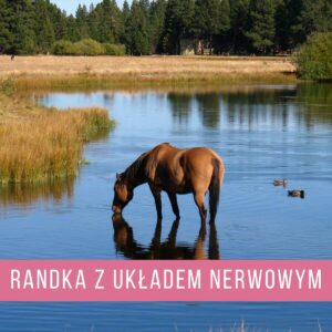 Randka z układem nerwowym - kurs online