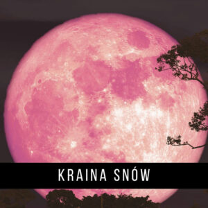 Kraina snów - kurs online